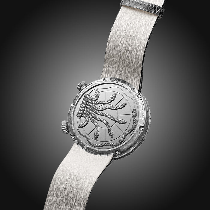 ZBioland snake watch Harry potter series